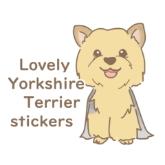 Lovely Yorkshire Terrier stickers