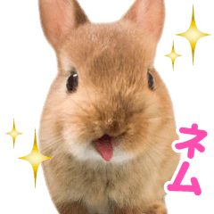 rabbit sticker(NEMU)