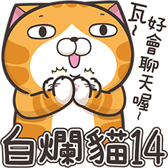 Lan Lan Cat 14