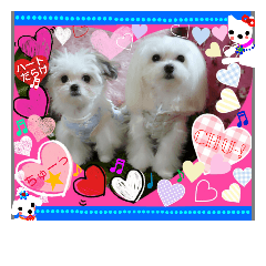 COCOA&RIRIA.my dog