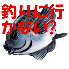 fishna fish