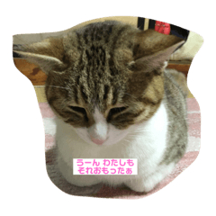 Jun_20190313133038