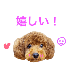 Sumire_20190313150517