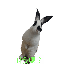 霹靂波