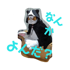 kaoru_20190313144931
