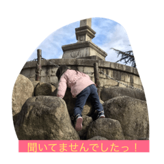 hana_20190313