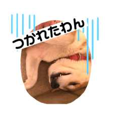 tetsu_20190313230932