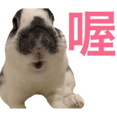 果兔日常