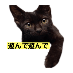 BOO_20190313225930