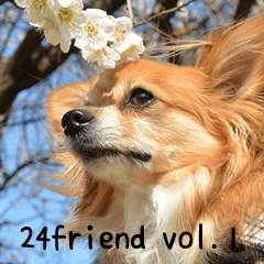 My dogs&24friends vol.1