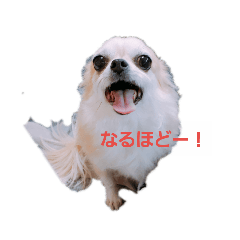 cocoa_20190314004812