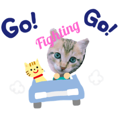 伍貓日常森活get it