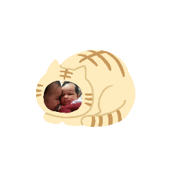 family23/37