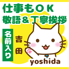 [YOSHIDA]Polite greeting. animal Cat