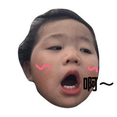 朱小豬