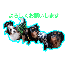 chie_20190315000453