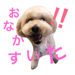 meg_20190315022715