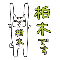Only for Mr. Kashiwagi Banzai Cat