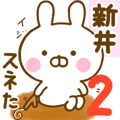 Rabbit Usahina araii 2
