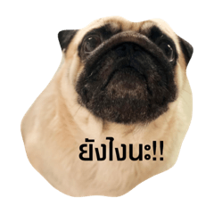chanom namkeng