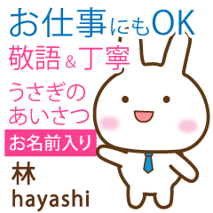 [HAYASHI]Polite greeting. Rabbit