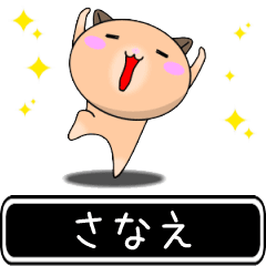 Sanae only cute high speed Sticker