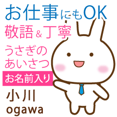 [OGAWA]Polite greeting. Rabbit