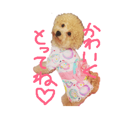 Sally_20190315174148