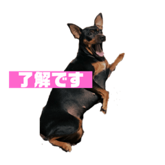 KAZUKI_20190315191934