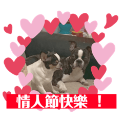 DOMO異想天開的生活