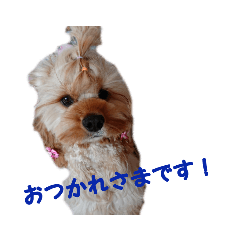 azu_20190315221946