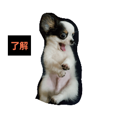 mame_20190316062914