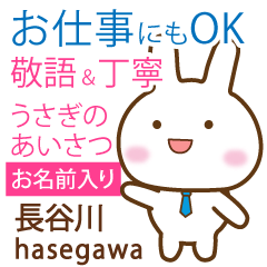 [HASEGAWA]Polite greeting. Rabbit