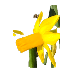 G_20190316032445