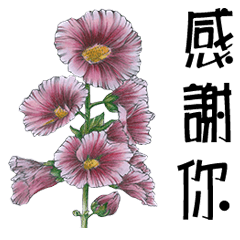 Mood flower language