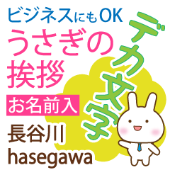 [HASEGAWA]Big letters. animal Rabbit