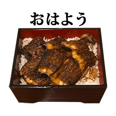 unagi unadon 2 eel rice