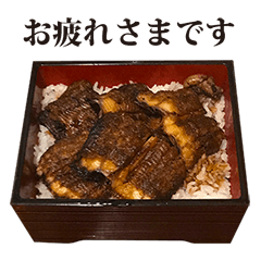 unagi unadon 4 eel rice