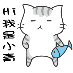 Winking cat name Xiaoqing exclusive.