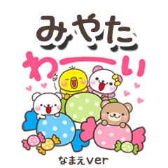 無難な【みやた】専用のしろまるみんな