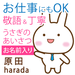 [HARADA]Polite greeting. Rabbit