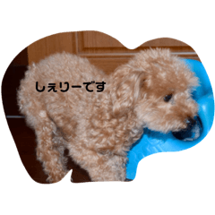 Tori_20190316122654