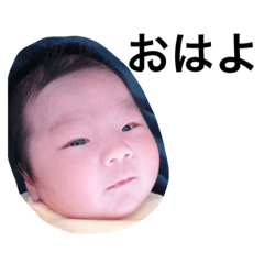 akari_20190316125751