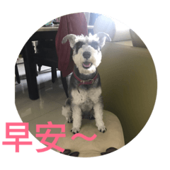 黑糖糖好可愛～