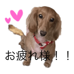 ayano_20190316172738