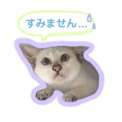 monaka_20190316230635