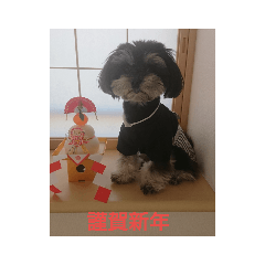 moco_20190316223957