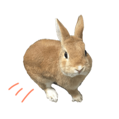 阿財日常生活