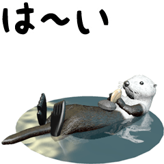 Sea otter "Shiota" and friends