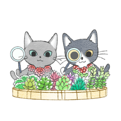 Succulent & Cats